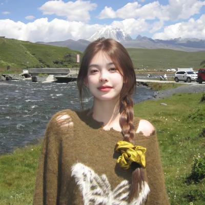 完美犯罪海报