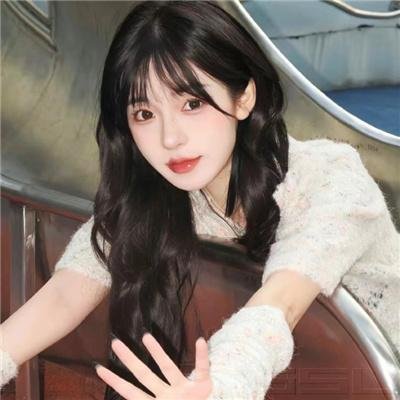 无耻之徒第五季海报